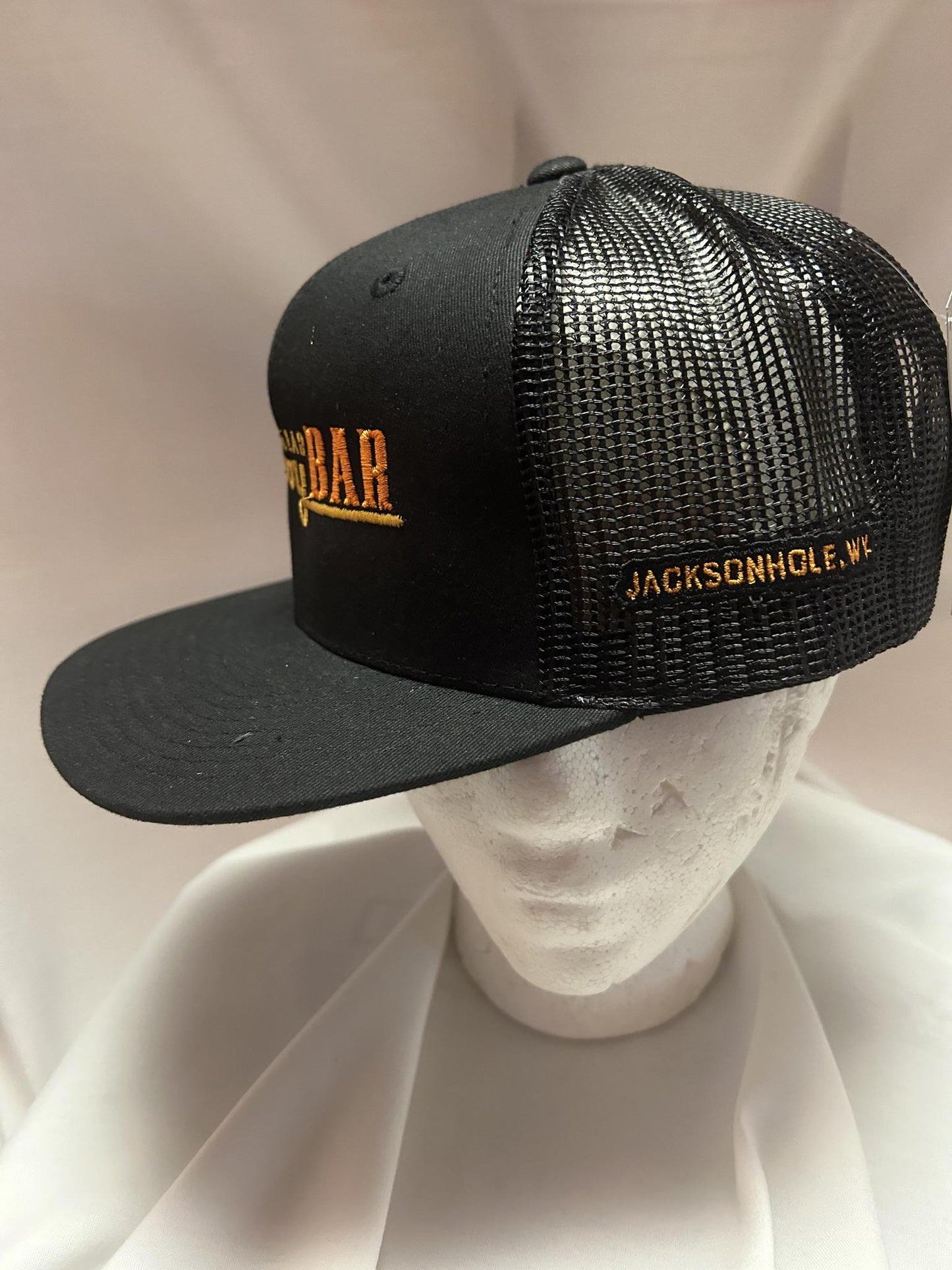 Black On Black Colored Neon Sign Hat