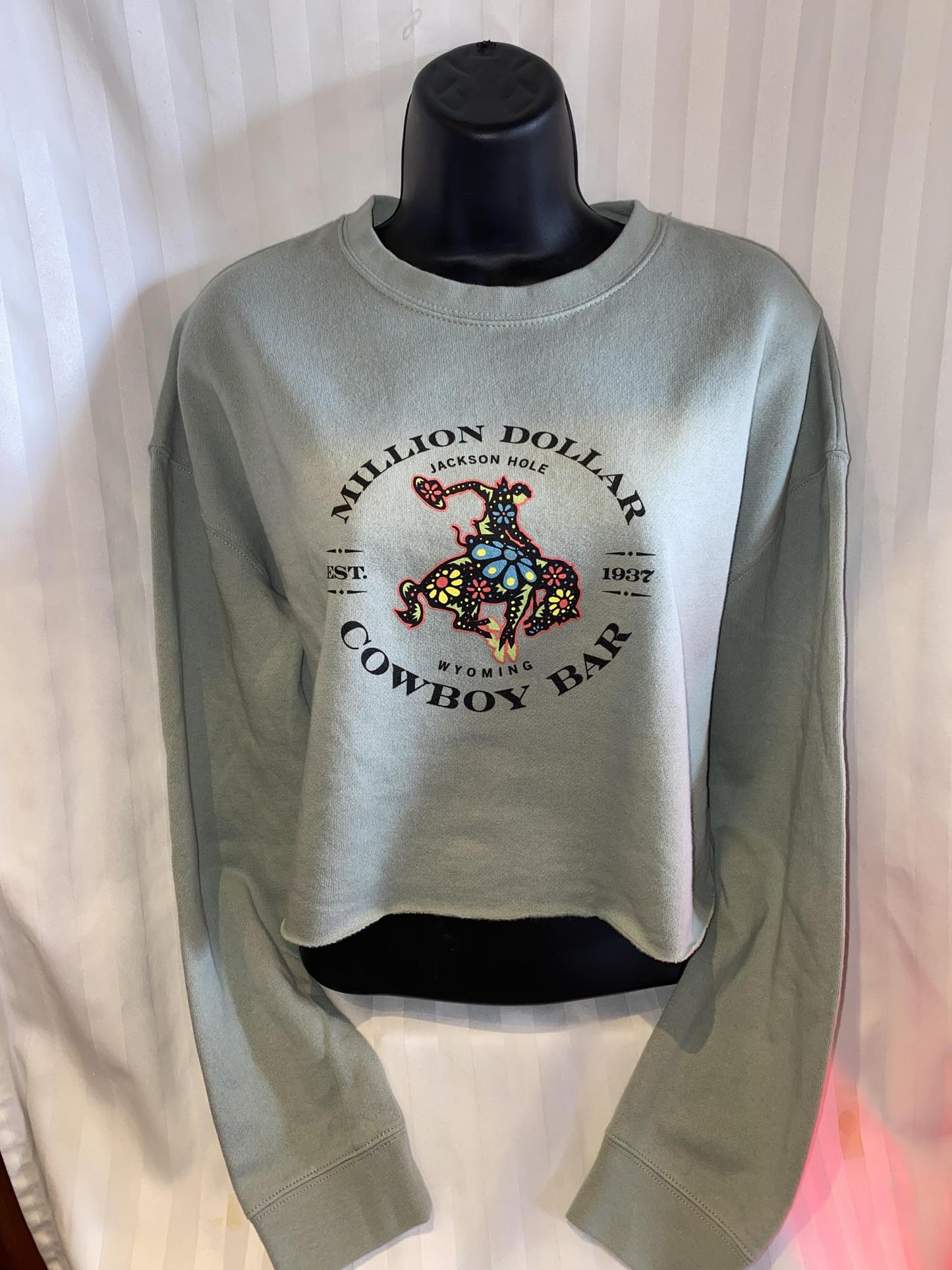 Ladies Colorful Sage Crop Sweatshirt
