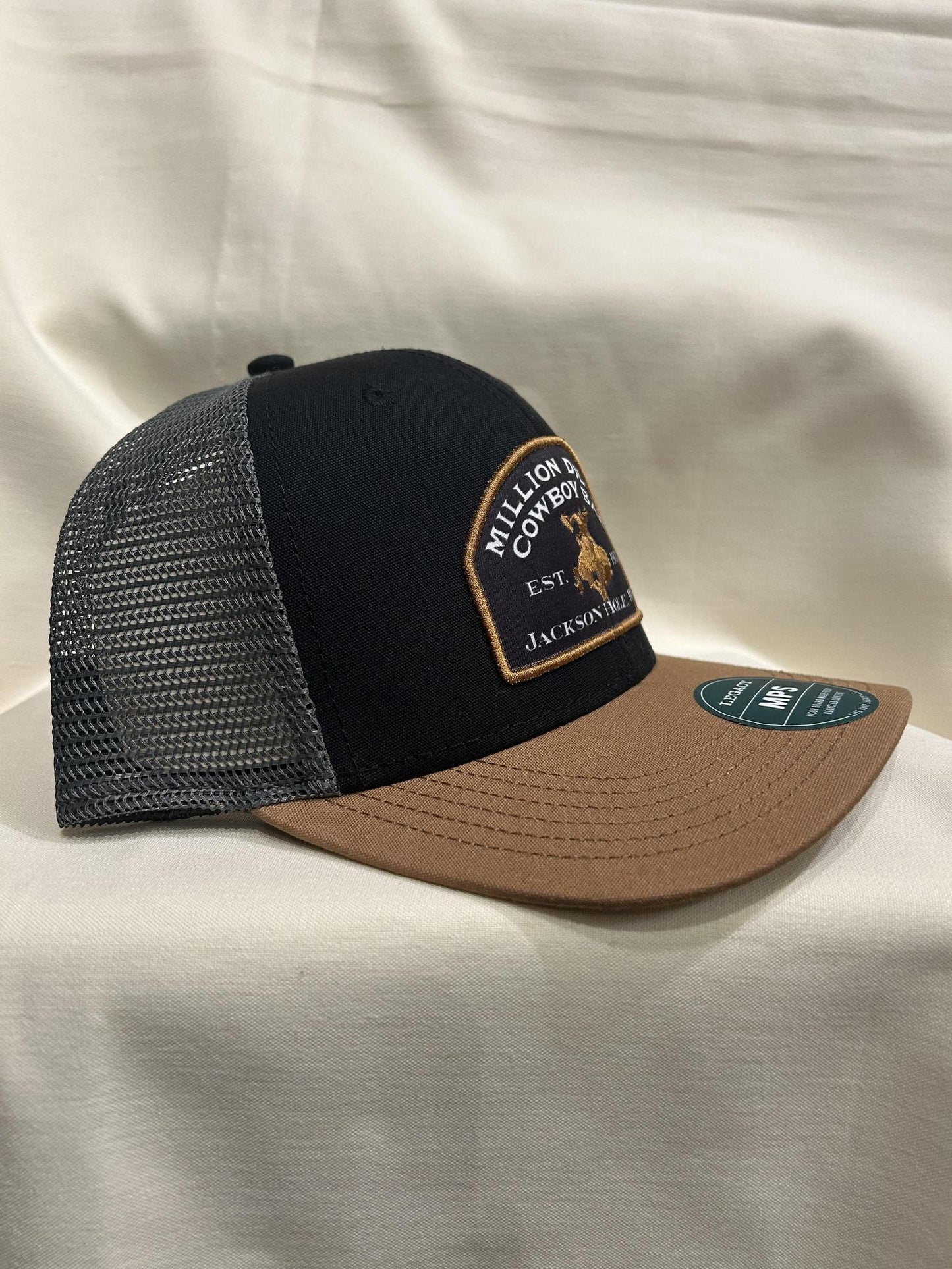 Brown W/ Black Patch Hat